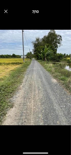 Cần tiền bán 7 công đất ruộng khu vực phường B tp châu Đốc giá 760tr