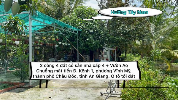 Cần bán 2 công 4 đất có sẵn nhà cấp 4 + Vườn Ao Chuồng mặt tiền Đ. Kênh 1, phường Vĩnh Mỹ Châu Đốc