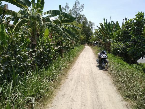 BÁN NỀN Đ. HÀO ĐỀ LỚN, Ô LONG VĨ, CHÂU PHÚ, AN GIANG (5*18 - 290TR)