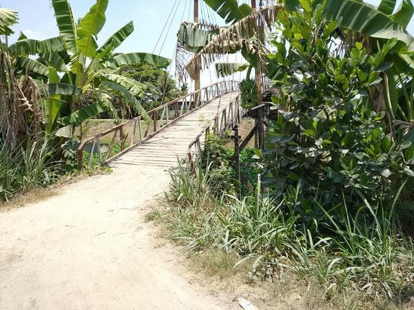 BÁN NỀN Đ. HÀO ĐỀ LỚN, Ô LONG VĨ, CHÂU PHÚ, AN GIANG (5*18 - 290TR)