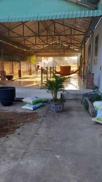 Cho thuê nhà vườn 4000m2 ở Phước Trinh, Tam Phước , Long Điền