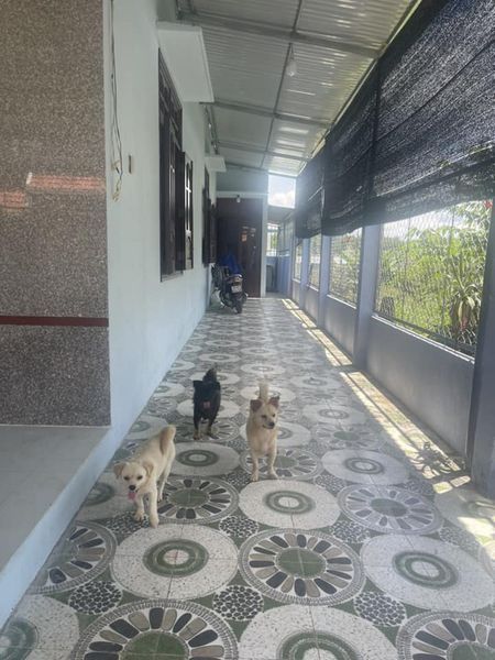 bán nhà hướng bắc ghé tây xíu, kp4 p tân đồng cách đường qh 52m có 150m