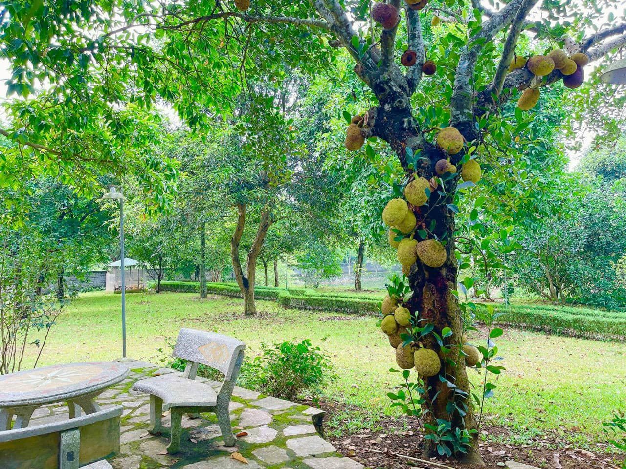 Chủ sang Mỹ định cư nên cần bán BIỆT THỰ NHÀ VƯỜN XỨNG TẦM ĐẲNG CẤP-Cách Sân golf Sky Lake 500m