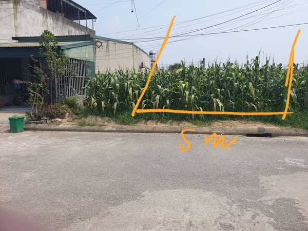 Bán đát giá 440 triệu như ảnh Diện tích 100m2 full thổ cư tt thị trấn huyện Hoài Đức
