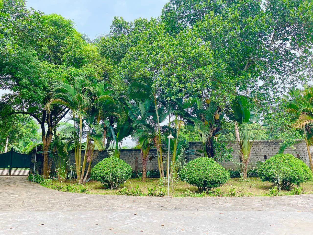 Chủ sang Mỹ định cư nên cần bán BIỆT THỰ NHÀ VƯỜN XỨNG TẦM ĐẲNG CẤP-Cách Sân golf Sky Lake 500m