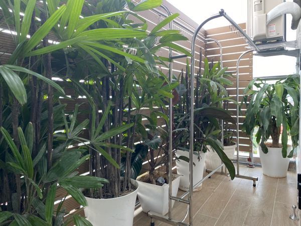 sắp trống căn 1 ngủ 1 khách, Full đồ - chỉ việc mang quần áo tới ở ngõ 36 Trung Hòa - Cầu Giấy