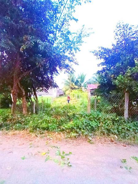 Bán nền 5x27m Full Thổ Cư💲3xxtr Gần chợ, trường, Y tế Vĩnh Khánh,Thoại Sơn An Giang
