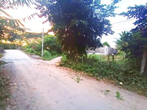 Bán nền 5x27m Full Thổ Cư💲3xxtr Gần chợ, trường, Y tế Vĩnh Khánh,Thoại Sơn An Giang