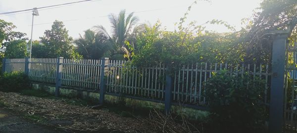 Chỉ có 2ty7 Siêu phẩm nghĩ dưỡng.1,156m2 có 300m2 thổ cư Xã Đông thạnh, châu thành, hậu Giang.
