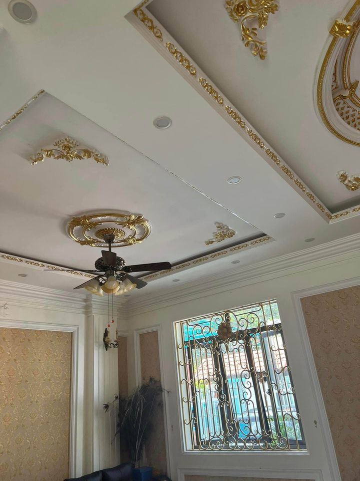 Bán Biệt thự Tân cổ điển (khu vưc cây 2 giữa trung tâm tp Cao Bằng và cây 5)