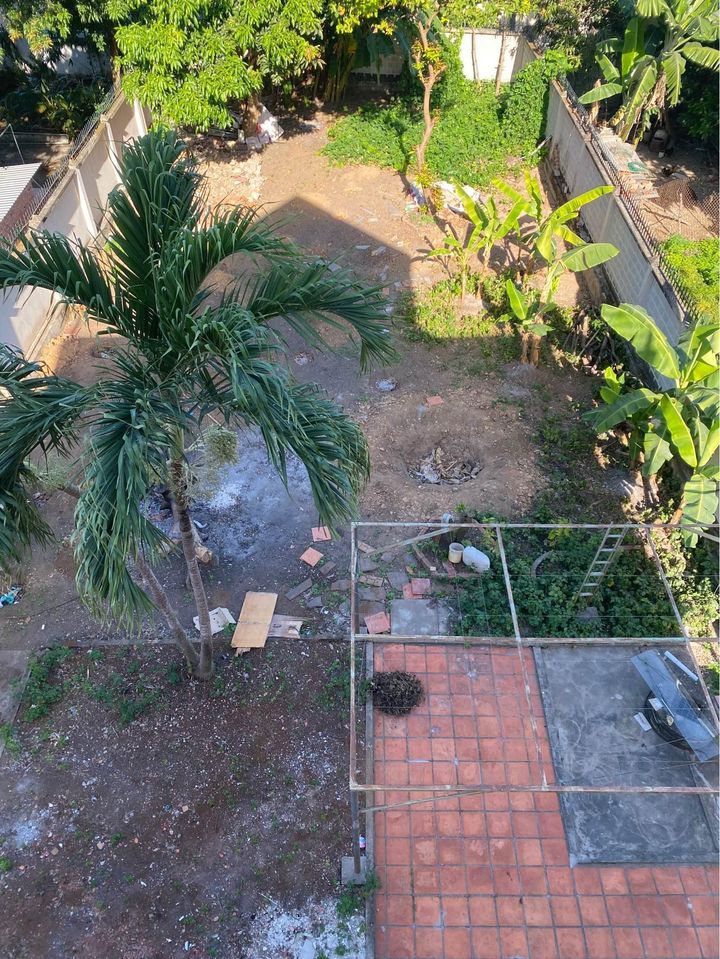 CHO THUÊ BIỆT THỰ SÂN VƯỜN TẠI BÀ RỊA
