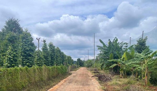 Tài Chính Chỉ 300 Triệu có ngay lô đất Cạnh Ngay Khu Công Nghiệp Trà Đa Pleiku Gia Lai