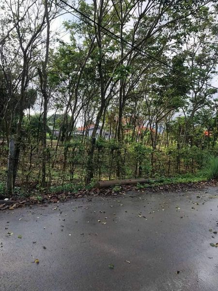 Bán Lô Đất Mặt Tiền Đường Nhựa (43,9m) Nguyễn Thị Định,TT Đất Đỏ TP Bà Rịa Vũng Tàu