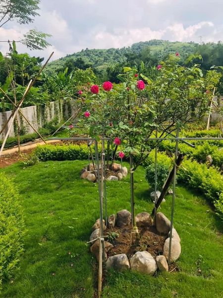 Đông Phong -Cao Phong -Hòa Bình Khu nghỉ dưỡng cuối tuần rất gần Hà Nội