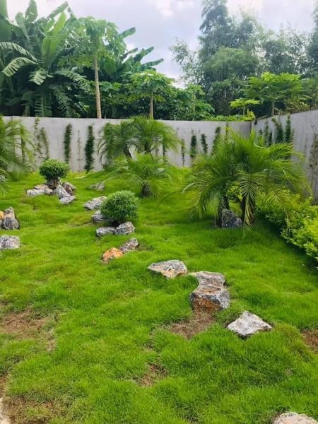 Đông Phong -Cao Phong -Hòa Bình Khu nghỉ dưỡng cuối tuần rất gần Hà Nội