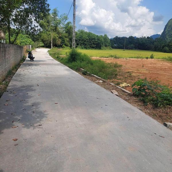 Giá chỉ 3xxtr bao sổ Thôn Đồng Thung, Xã Phú Nghĩa, Huyện Lạc Thuỷ, Tỉnh Hòa Bình