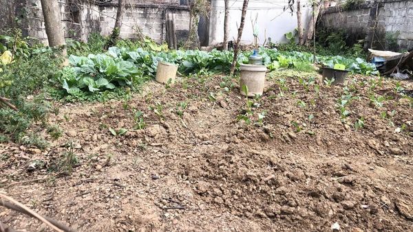 Bán đất thổ cư bên Trung cấp Mai Pha gần trường hy vọng gần apec hàng xóm văn minh,an ninh tuyệt đố