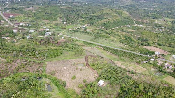 Mình có lô đất cần bán. Nằm cách QL29 chỉ 100m. Tọa lạc tại: Ea Dăh - Krong Năng - Daklak.