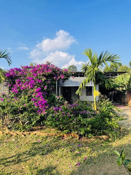Nhà vườn diện tích: 3964m2 ( TC:250m2 ) Vị trí : Đăk Hà - Kon Tum