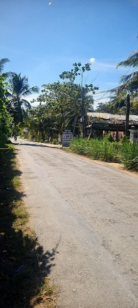 CẦN TIỀN TRỊ BỆNH BÁN RẺ CĂN NHÀ TÂM HUYẾT MẶT TIỀN NHỰA TẠI MỎ CÀY NAM.