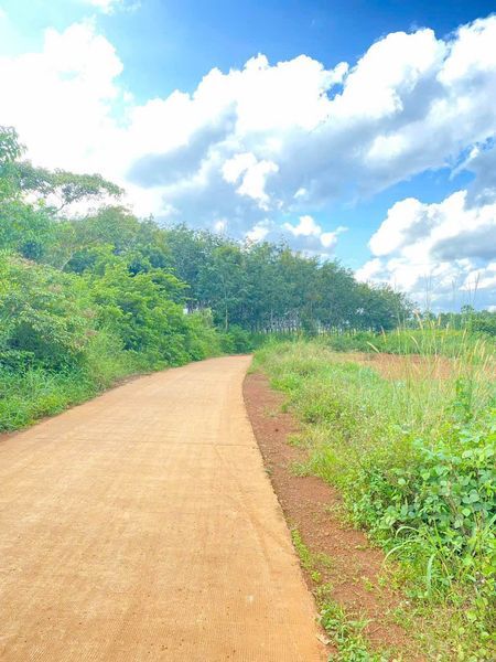 Bán 3,6 mẫu TRỒNG CÀ PHÊ thôn quảng phước, xã đạo nghĩa , huyện Đakrlap, Đaknong ( THƯƠNG LƯỢNG)
