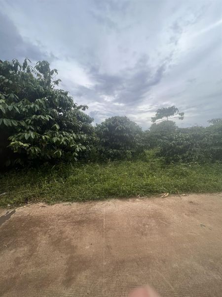 Đất hẻm Lạc Long Quân, pleiku đường bê tông, khu dân cư an ninh, cách chợ Âu cơ vài bước chân