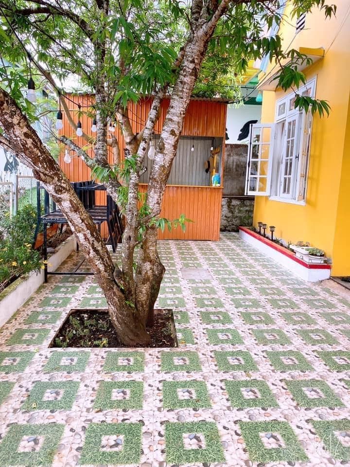 CHO THUÊ VILLA SÂN VƯỜN CÓ CÂY ĐÀO GẦN GA ĐÀ LẠT - Tiện đi bộ ra Hồ Xuân Hương