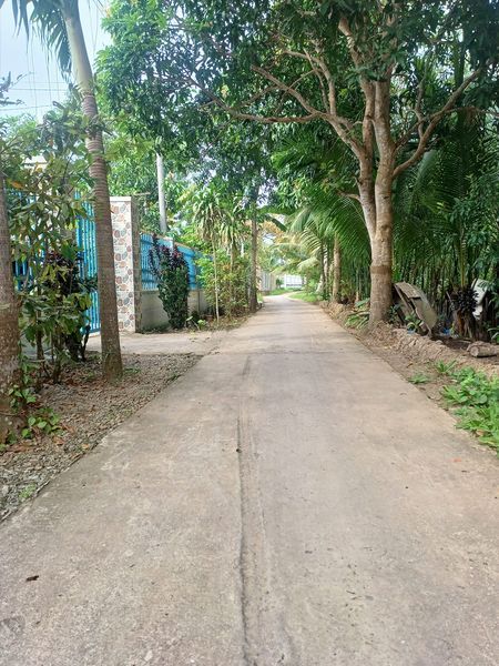 NHÀ VƯỜN NGHỈ DƯỠNG RỘNG 1000m² NHƠN NGHĨA PHONG ĐIỀN
