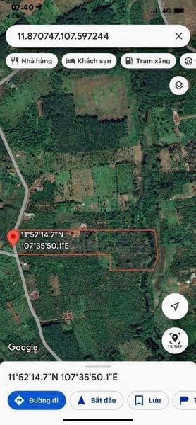 Bán 3,6 mẫu TRỒNG CÀ PHÊ thôn quảng phước, xã đạo nghĩa , huyện Đakrlap, Đaknong ( THƯƠNG LƯỢNG)