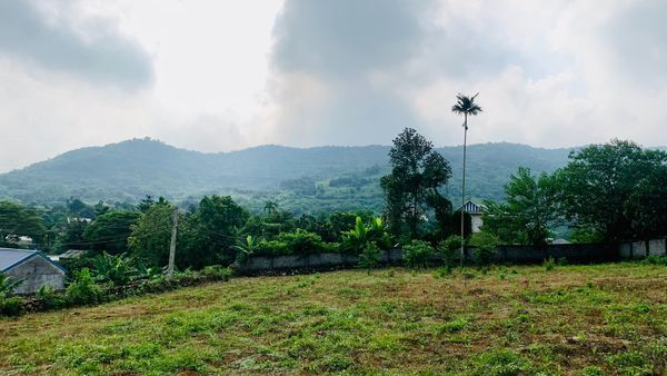 Chính chủ gửi bán mảnh đất cực đẹp tại Hòa Sơn - lương Sơn - Hòa Bình
