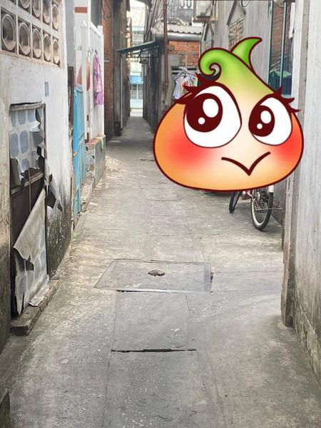 BÁN NHÀ 1 TRỆT 1 LẦU ĐÚC HẺM PHƯỜNG 4, THÀNH PHỐ VĨNH LONG