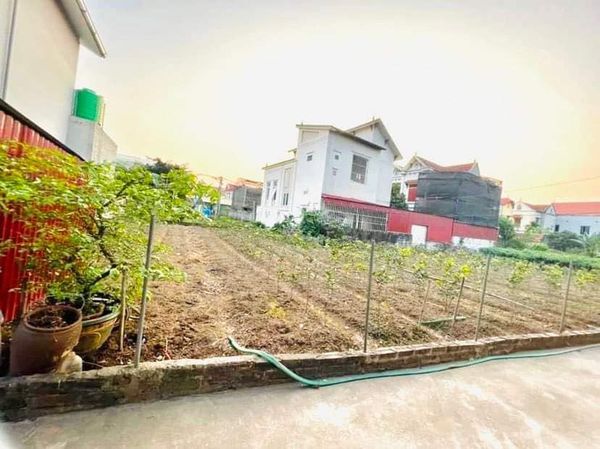 Chính chủ cần bán đất làm biệt thự nhà vườn tuyệt đẹp, giá rẻ nhất tại Hoàng Trạch, Mễ Sở Văn Giang