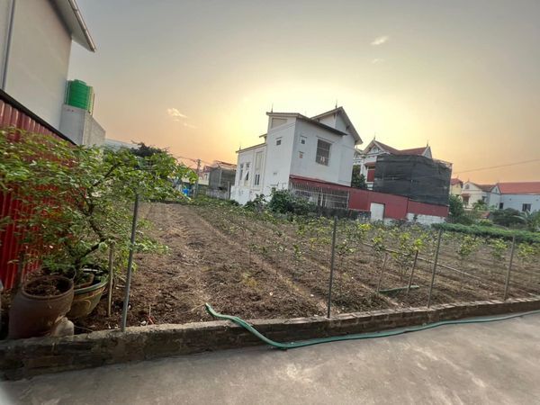 Chính chủ cần bán đất làm biệt thự nhà vườn tuyệt đẹp, giá rẻ nhất tại Hoàng Trạch, Mễ Sở Văn Giang