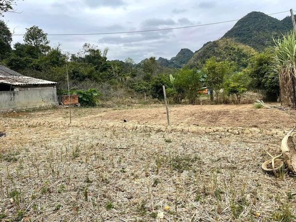 Em hơn 3000m có 400m thổ cư, ô tô quay đầu thoải mái, đất bằng , lưng tựa đồi tại Chiềng Ngần SL
