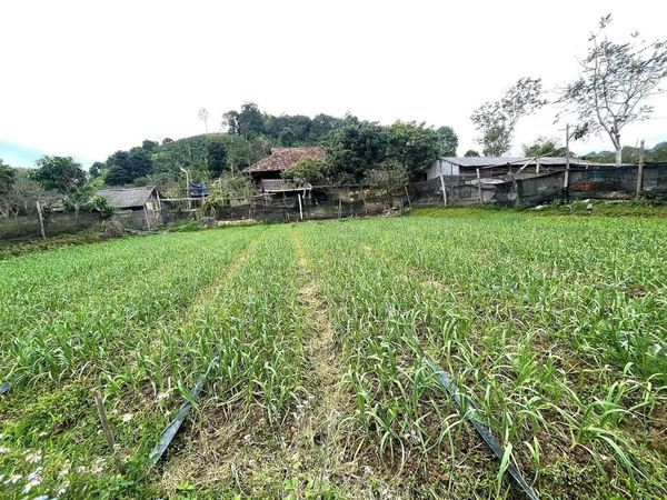 Em hơn 3000m có 400m thổ cư, ô tô quay đầu thoải mái, đất bằng , lưng tựa đồi tại Chiềng Ngần SL