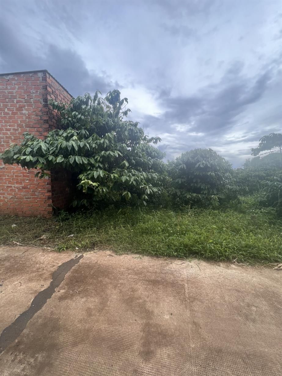 Đất hẻm Lạc Long Quân, pleiku đường bê tông, khu dân cư an ninh, cách chợ Âu cơ vài bước chân