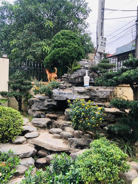 Một căn biệt thự vườn diện tích .400m2 , 2 mặt tiền giữa Thành Phố Thanh Hoá và Sầm Sơn