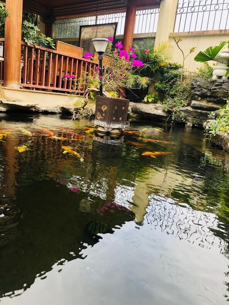 Một căn biệt thự vườn diện tích .400m2 , 2 mặt tiền giữa Thành Phố Thanh Hoá và Sầm Sơn