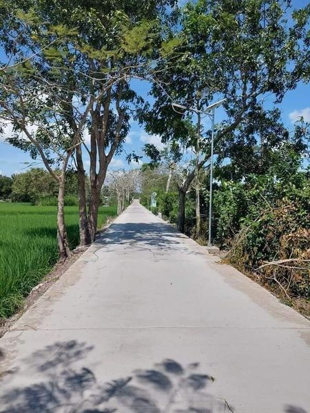 Bán miếng đất đẹp ấp Trà Hất xã Châu Thới huyện Vĩnh Lợi tỉnh Bạc Liêu