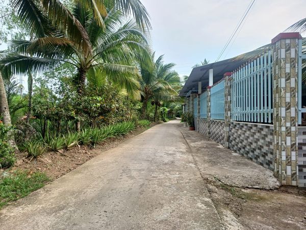 NHÀ VƯỜN NGHỈ DƯỠNG RỘNG 1000m² NHƠN NGHĨA PHONG ĐIỀN