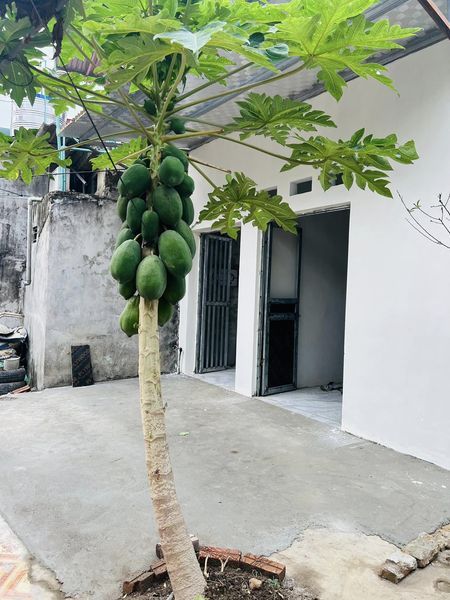 Cho thuê Phòng trọ khép kín có nóng lạnh số 146 Phố Đội Kỳ Bắc Kạn
