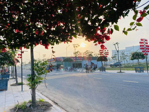 HÀNG SIÊU VÍP- ĐẤT CỰC ĐẸP LK3-35 KĐT Trái Diêm 3 - Tiền Hải Thái Bình