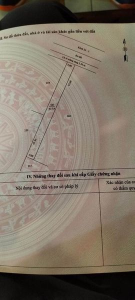 Bán đất mặt tiền lộ xi măng 3,5m cách trường THCS Lương Thế Vinh P8 TP Cà Mau tới 150m