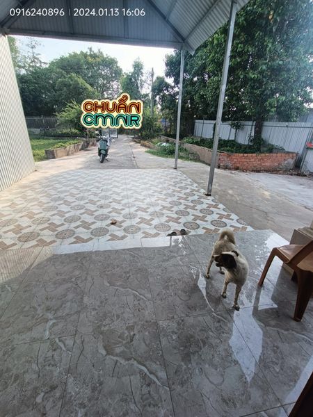 Giảm giá bán lỗ nhà vườn 1 trệt 1 lầu yến, hơn 2.397,9m² MẶT TIỀN KÊNH 8 THƯớC, MẠC CỬU, VĨNH QUANG
