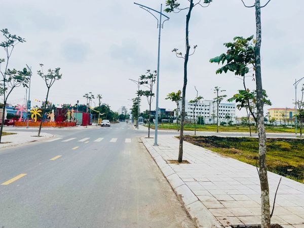 HÀNG SIÊU VÍP- ĐẤT CỰC ĐẸP LK3-35 KĐT Trái Diêm 3 - Tiền Hải Thái Bình