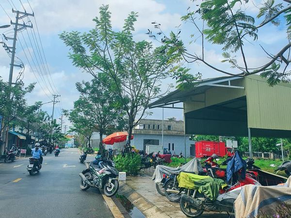 Đất nền Chợ Hàng Rượu Quảng Ngãi nơi Ở và Kinh Doanh, đầu tư, cho thuê,...lý tưởng