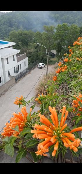 Cho thuê căn hộ ở cột 3.dien tích 60 m2 Địa chỉ : lô 11 khu đô thị đồi Văn Nghệ , phường Hồng Hải