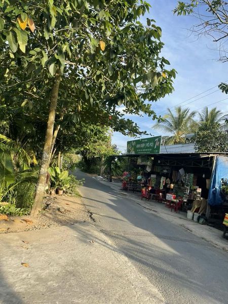 CẦN SANG NHƯỢNG LẠI 3900 M2 ĐẤT 300 THỔ CƯ THUỘC PHÚ HƯNG ,THÀNH PHỐ.BẾN TRE