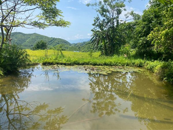 Tân Lạc có những điểm mà một ngày ở đó gần như ta sẽ thấy được 4 mùa trong năm.