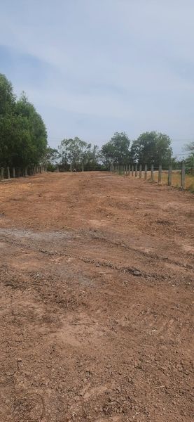 Đất Mặt Tiền Tỉnh Lộ 33. Thuộc ấp Đại Nôn, xã Liêu Tú, huyện Trần Đề, Sóc Trăng.